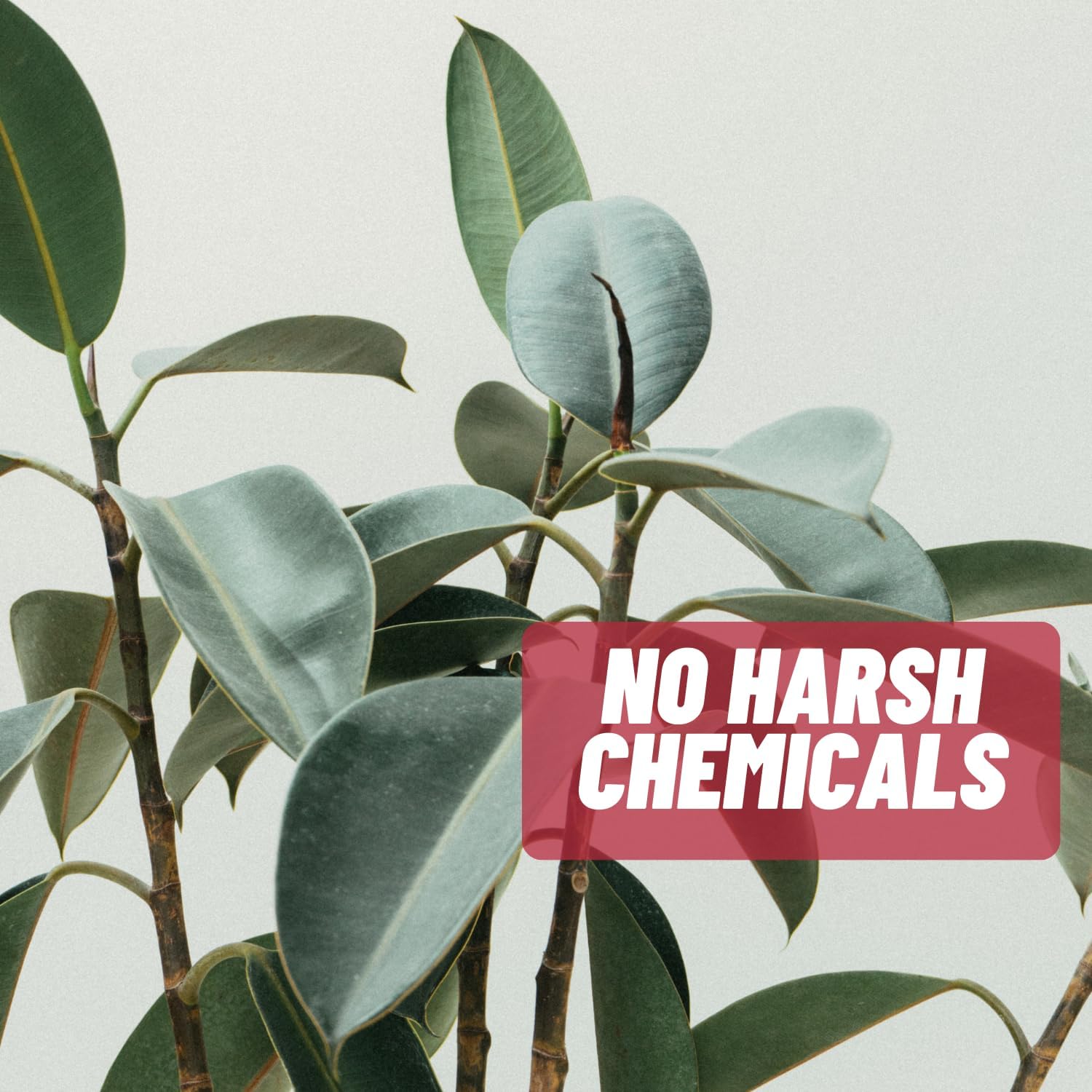 Acne Pills 2 Pack 120 Pills- Vitamin Supplements for Acne Breakouts- Hormonal Pimple Tablets to Clear Oily Skin for Women, Men, Teens, and Adults - Image 8