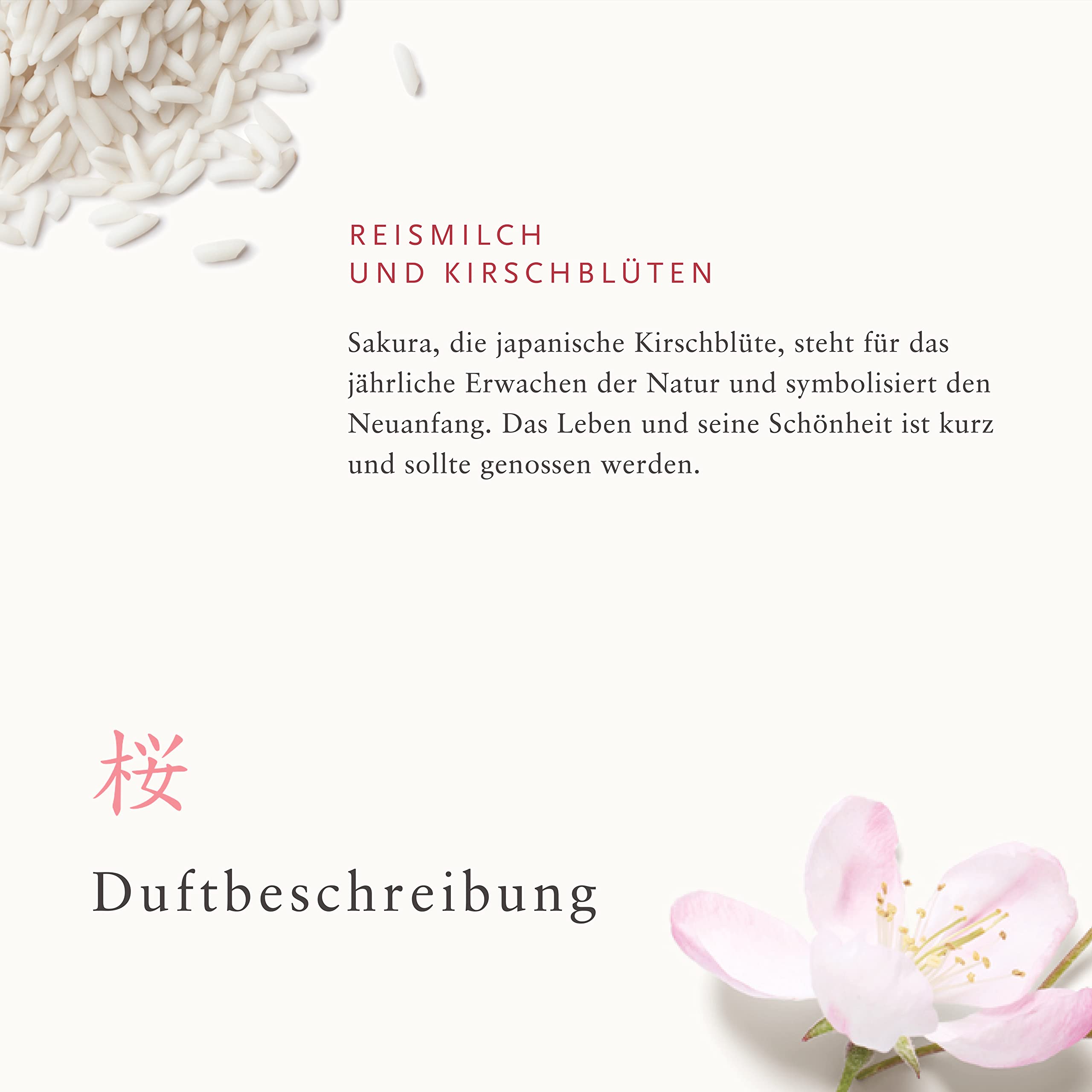 RITUALS Geschenkset für Frauen von The Ritual of Sakura, Größe M – Mit Reismilch und Kirschblüte – Nährt die Haut und Wirkt Erneuernd