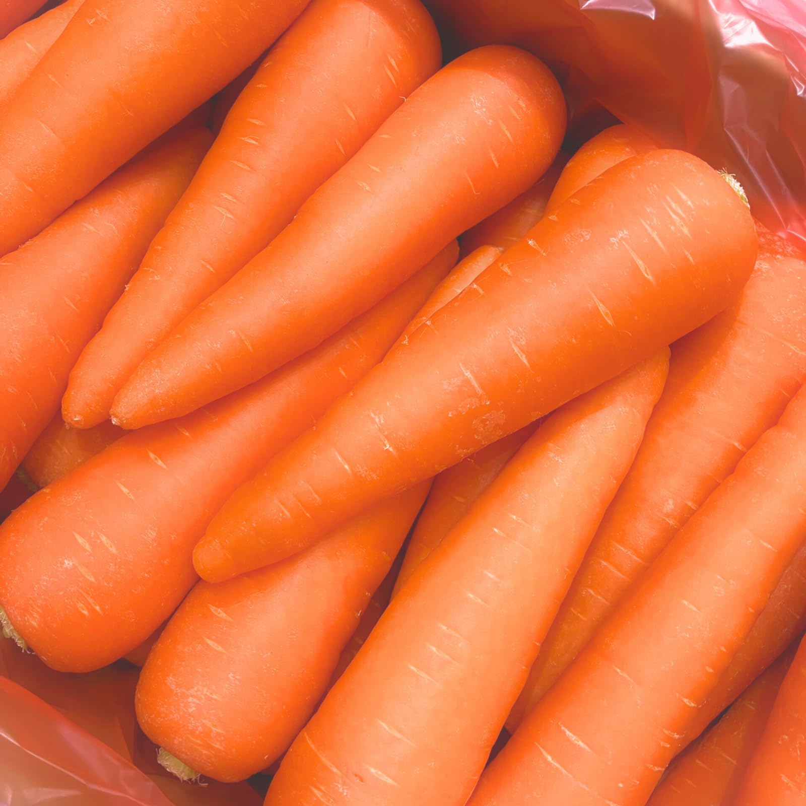 [みさわのやさい] フルーツにんじん 国産 5kg 訳あり 人参 大きさ おまか…