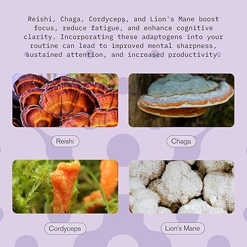 Miniatura 5 de Bebida de suplemento de hongos, mezcla de vitalidad de acción rápida, Cordyceps, Reishi, Chaga, melena de león, Ashwaganda, para adultos, sabor a