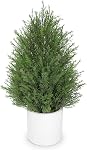 3ft Arbres topiaires artificiels Arbres faux cèdres Cyprès en planteur blanc pour décoration maison, Ensemble de 2