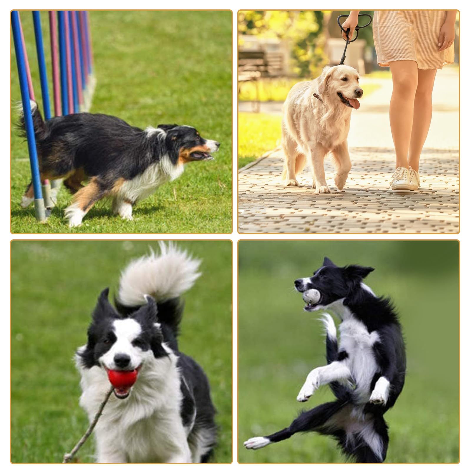 ZUOQIANG 2 PCS Sifflet Ultrason Chien, Sifflet Ultrason Chien Anti Aboiement, Sifflet Chien Rappel avec Lanière, Sifflet Chien Rappel, Sifflet pour Chien à Haute Fréquence