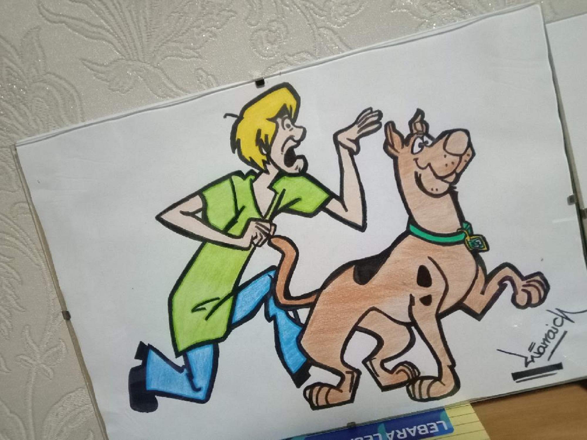 Scooby Doo And Shaggy Drawing