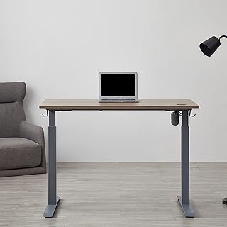 kowo Electric Lift Standing Desk 48 Home Office Wooden Computer Desk Ergonomic Memory Control Workstation Sit Stand Desk