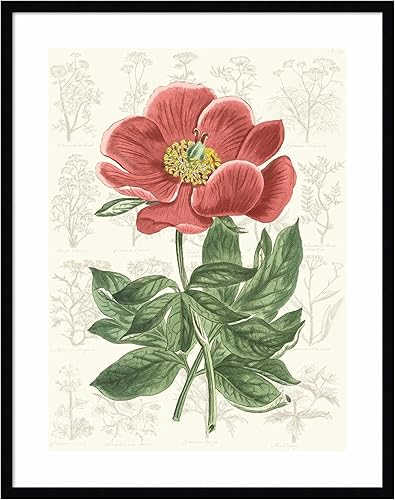 Miniatura 11 de Amanti Art Vision Studio - Lienzo decorativo para pared, 24 x 20 pulgadas, diseño de jardín de flores de peonía, arte de pared de flores, decoración