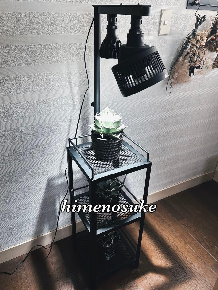 アイアン植物棚 ライトスタンド付 ボタニカルシェルフ アガベ 塊根