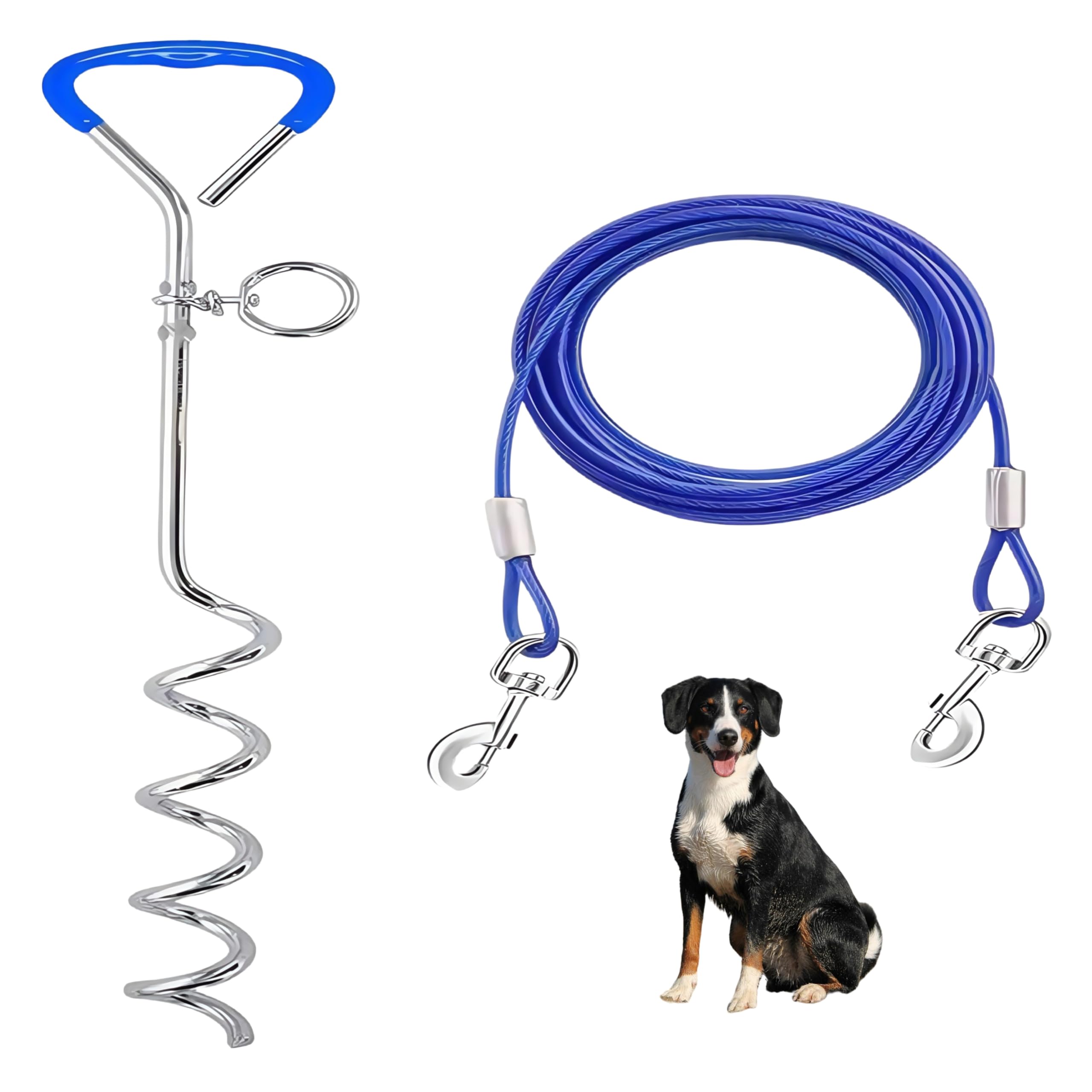 Piquet de pose pour chien avec laisse de 3 m, ancrage solaire pour extérieur, bleu