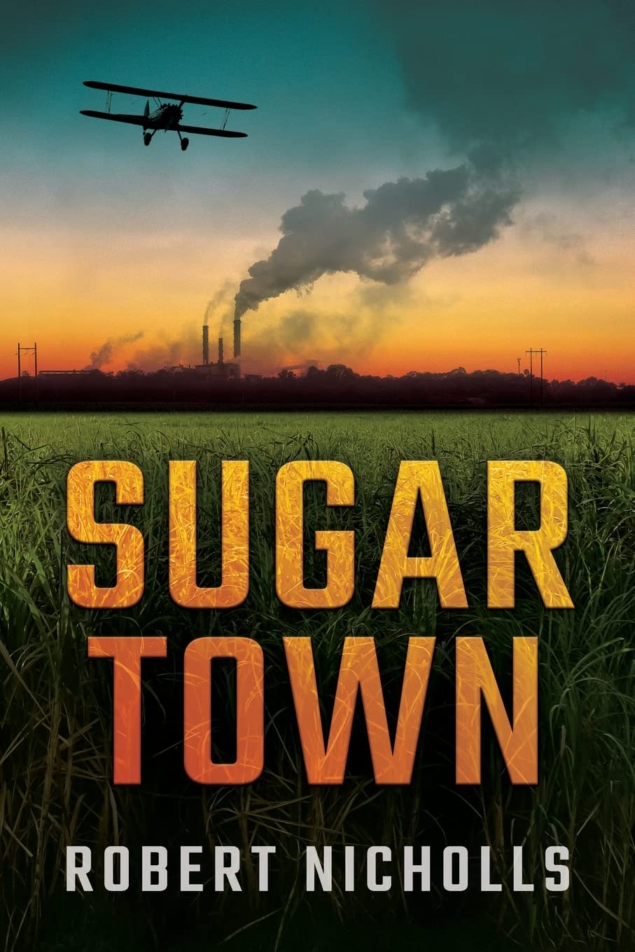Buy Sugar Town — BookShops.in