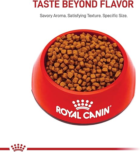 Miniatura 3 de Royal Canin Alimento seco para gatitos de raza persa