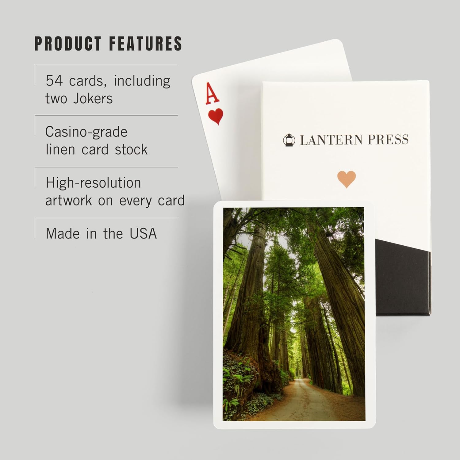 Lantern Press Redwood Forest Road Photography A-91535, 52 Playing Cards for Adults, Poker Size Card Deck