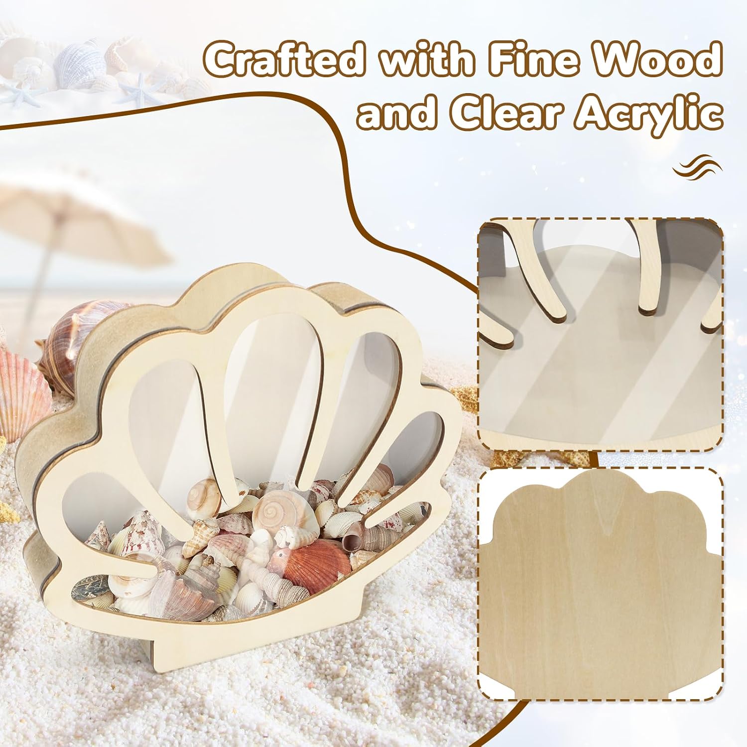 Seashell Holder Display Box with Clear Acrylic Front for Small Beach Finds, Sea Glass, Shark Teeth and Vacation Keepsakes, Wooden Coastal Tabletop Decor