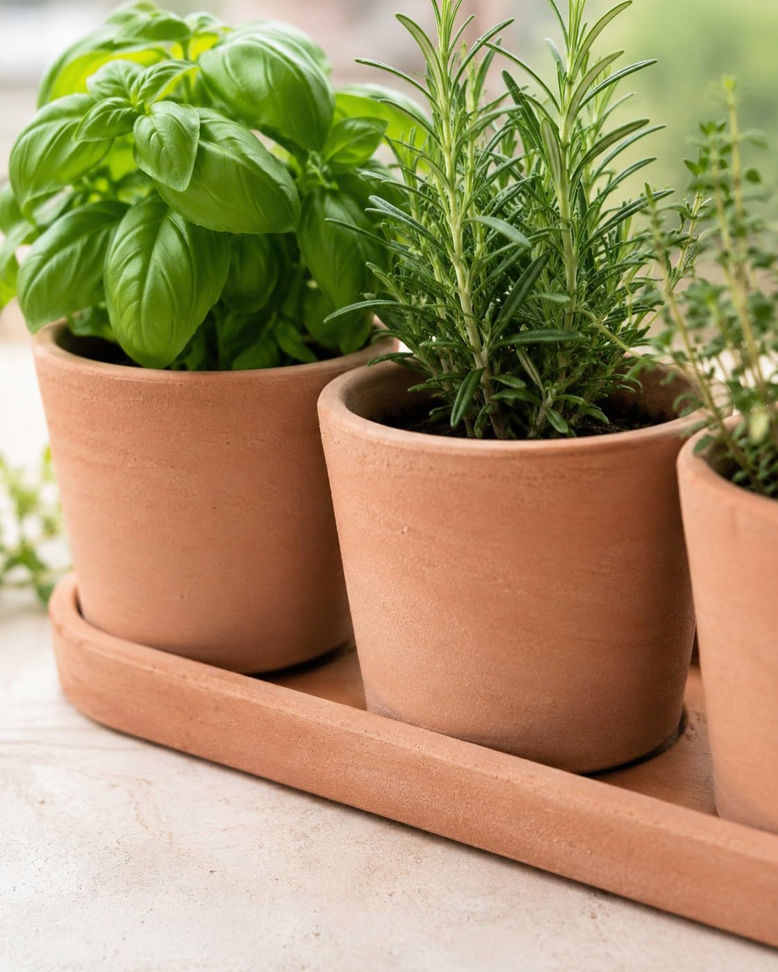 Palatina Werkstatt Kräutertopf Trio Terracotta mit Tablett 48x16x13 cm – 3 Kräutertöpfe Ø15 cm für Küche, Balkon & Garten, Pflanztopf Set für frische Kräuter innen und außen