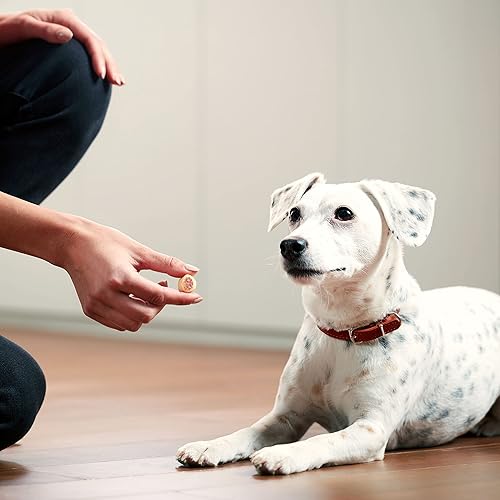 Miniatura 7 de Milk-Bone MaroSnacks - Paquete de recambio de golosinas para perros pequeños con médula ósea, 38 onzas (paquete de 2)