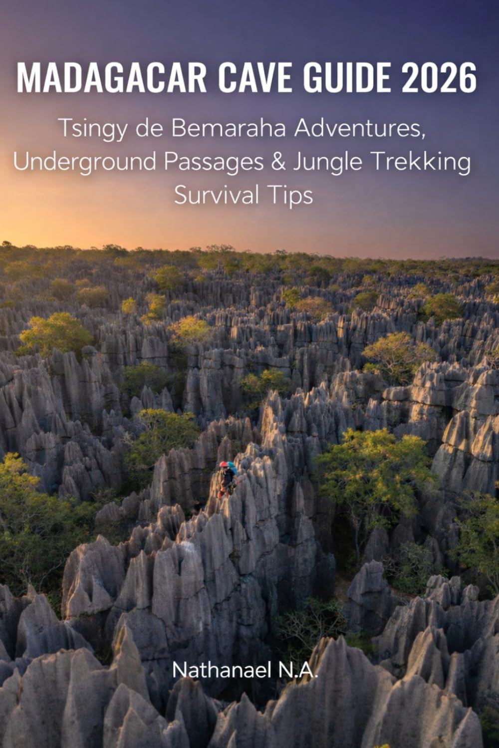 MADAGASCAR CAVE GUIDE 2026: Tsingy de Bemaraha Adventures, Underground Passages & Jungle Trekking Survival Tips (The World Explorer Series)