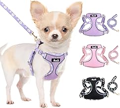 Lukovee No Pull Puppy Harness and Leash Set - Soft Lightweight Escape Proof Puppy Vest Harness, Breathable Adjustable Pet Harness with Dog Leash for Small Dogs (Purple, XXS)