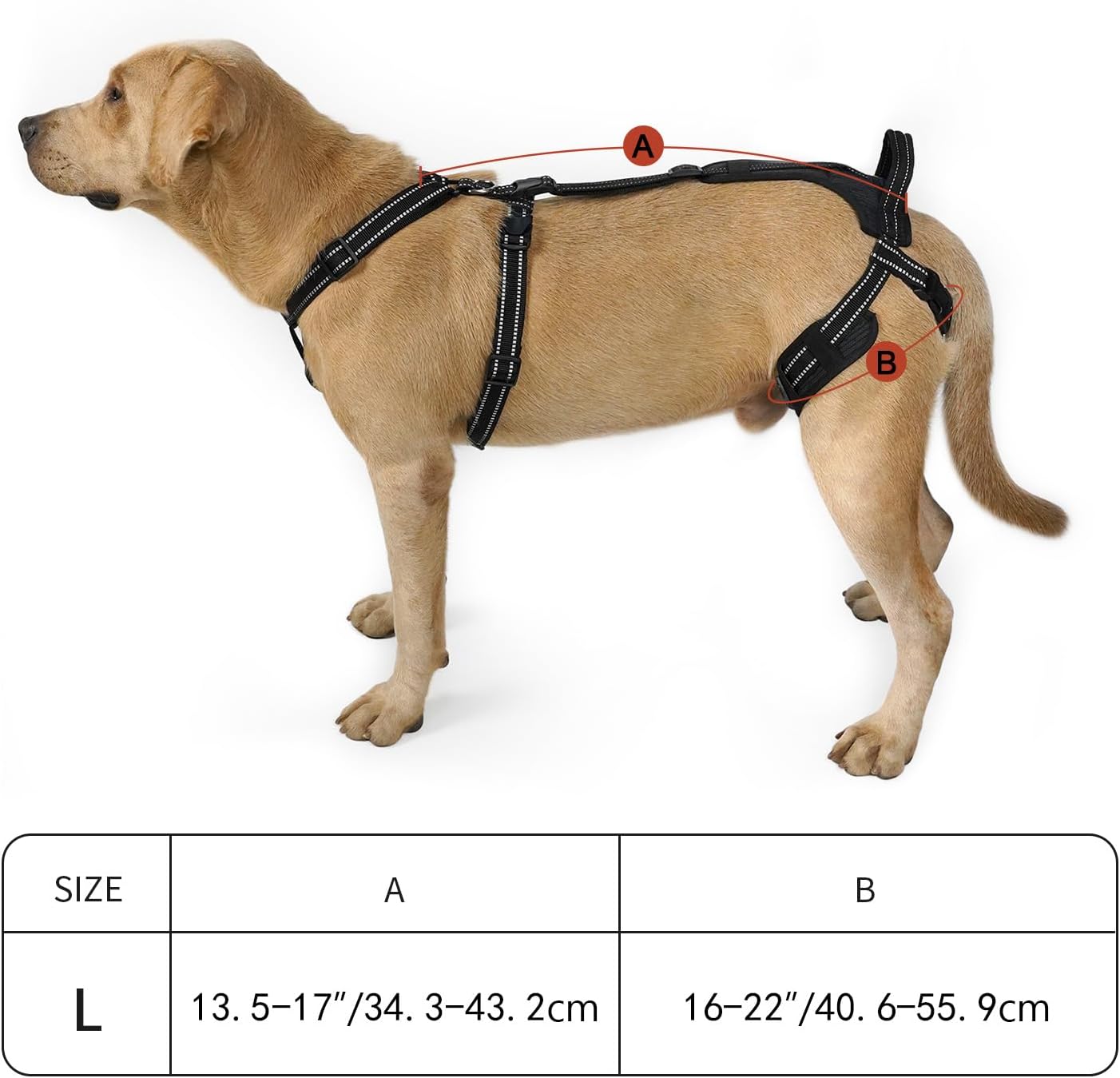 COODEO Professional Dog Sling for Hind Leg Support - Aid for Post-ACL/TPLO Surgery & Senior Dogs, Secure,Breathable & Machine-Washable with Reflective Edging for Safe Walks (Black, L)