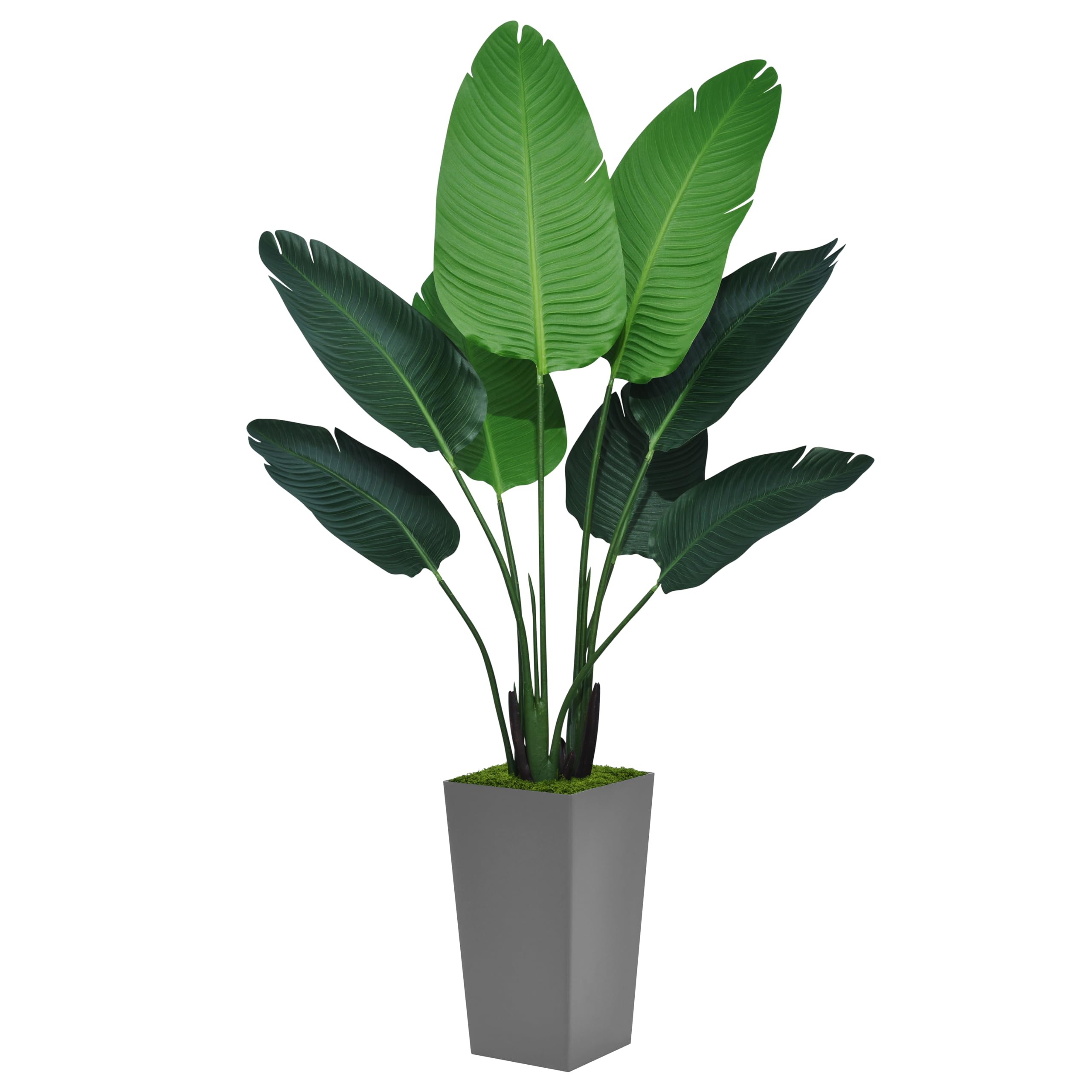 LOMANTO - Palmera Majestuosa Artificial De 4 Pies; Plantas Sintéticas Para Decoración Del Hogar, Palmeras Falsas En Maceta Para Interiores, Plantas Tropicales Falsas Para Regalo De Inauguración De