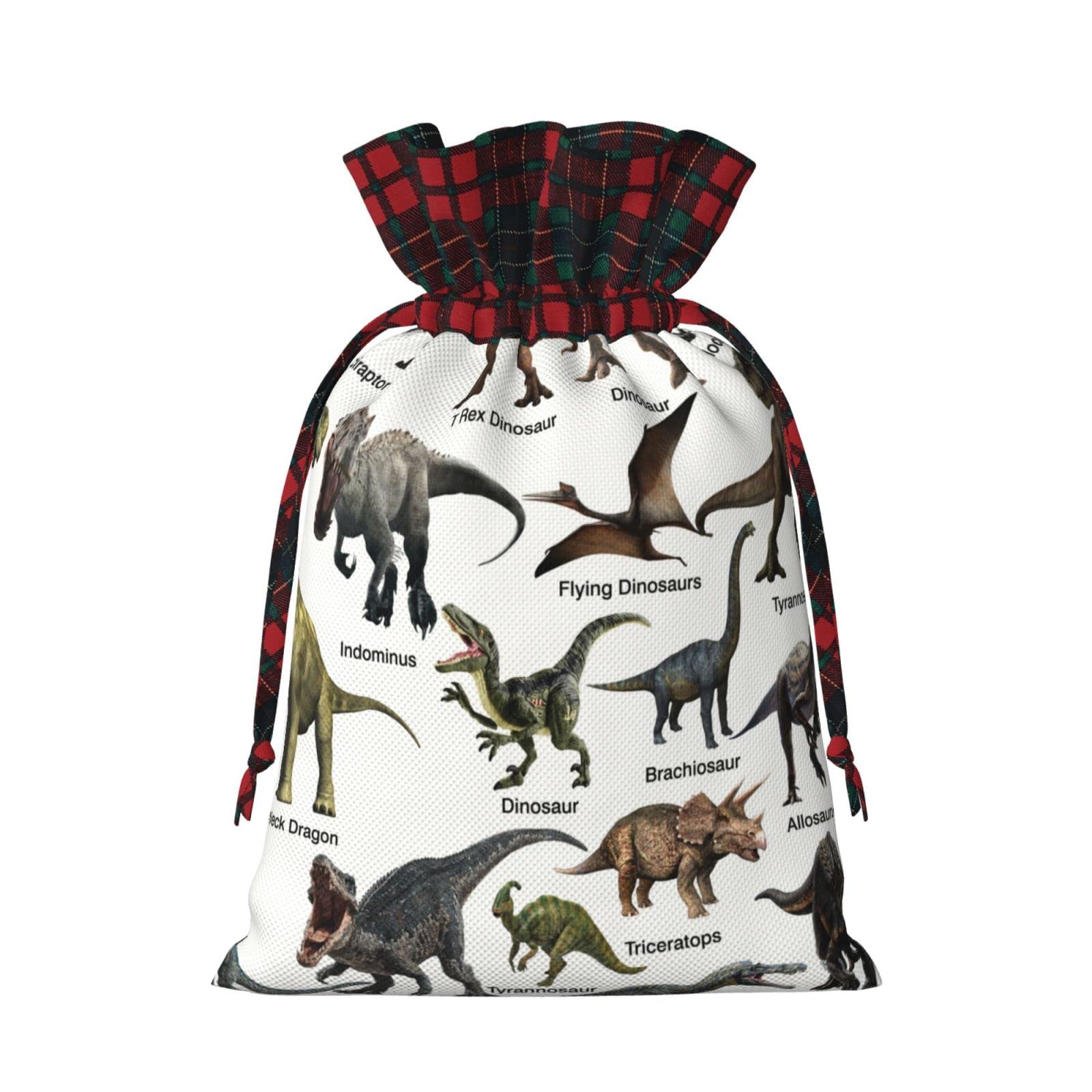 Amazon | クリスマス 巾着袋 恐竜 識別の種類 ギフト バッグ 誕生日