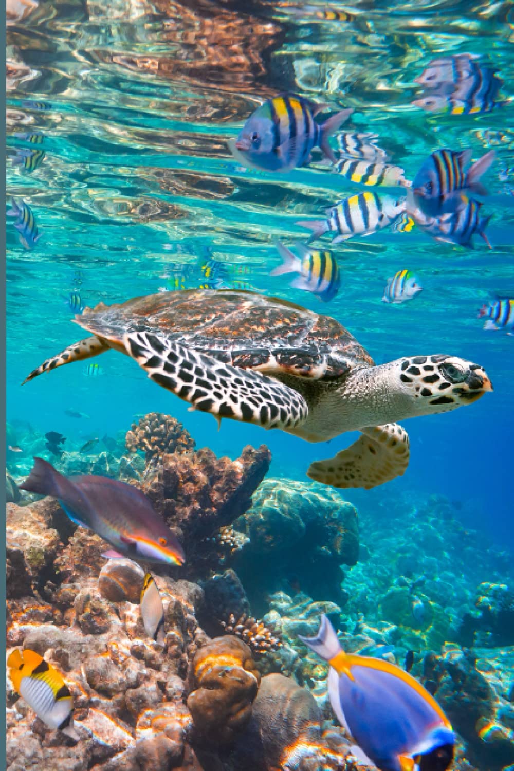 Sea Turtle Journal: Blank lined notebook with sea turtles