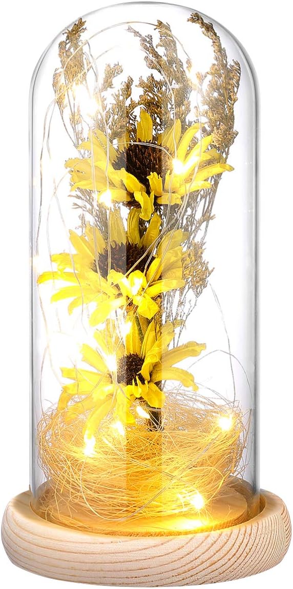 Mini Artificial LED Sunflower Light in Glass Dome Desktop Ornament Night Light for, Yellow, Medium