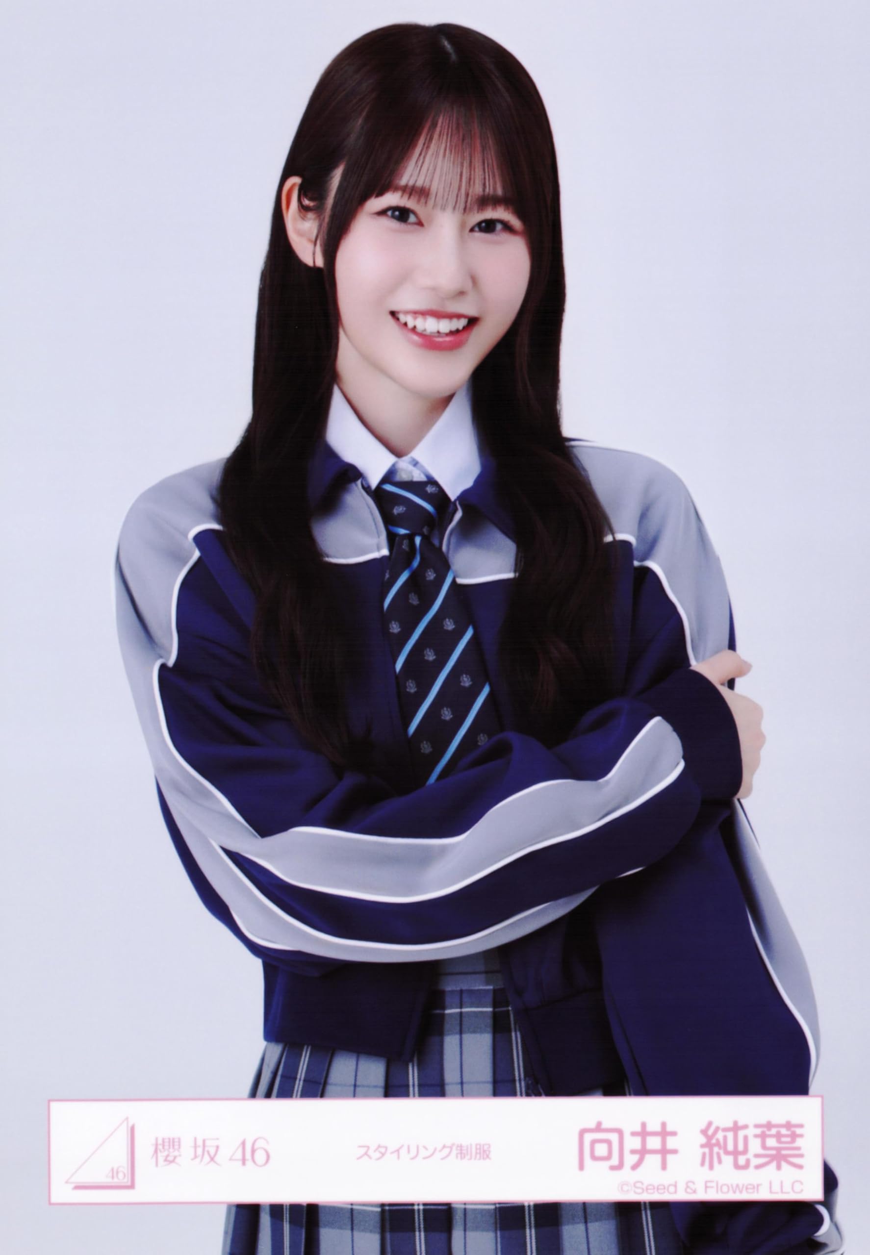 Amazon.co.jp: 櫻坂46 生写真 スタイリング制服 4種コンプ 向井純葉