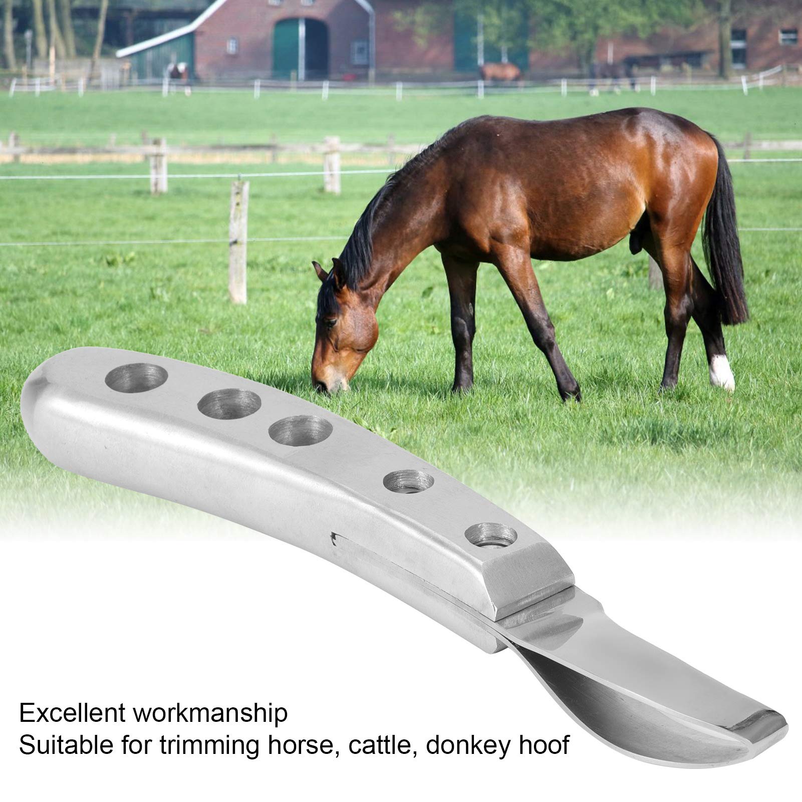 Lybunair Hoof Trimmer, Farm Animals Trimming Knife and Tool Accessories for Cattle, Horse, Donkey (Ring Knife)