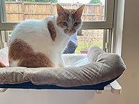 Review Image by Heidi Heidi