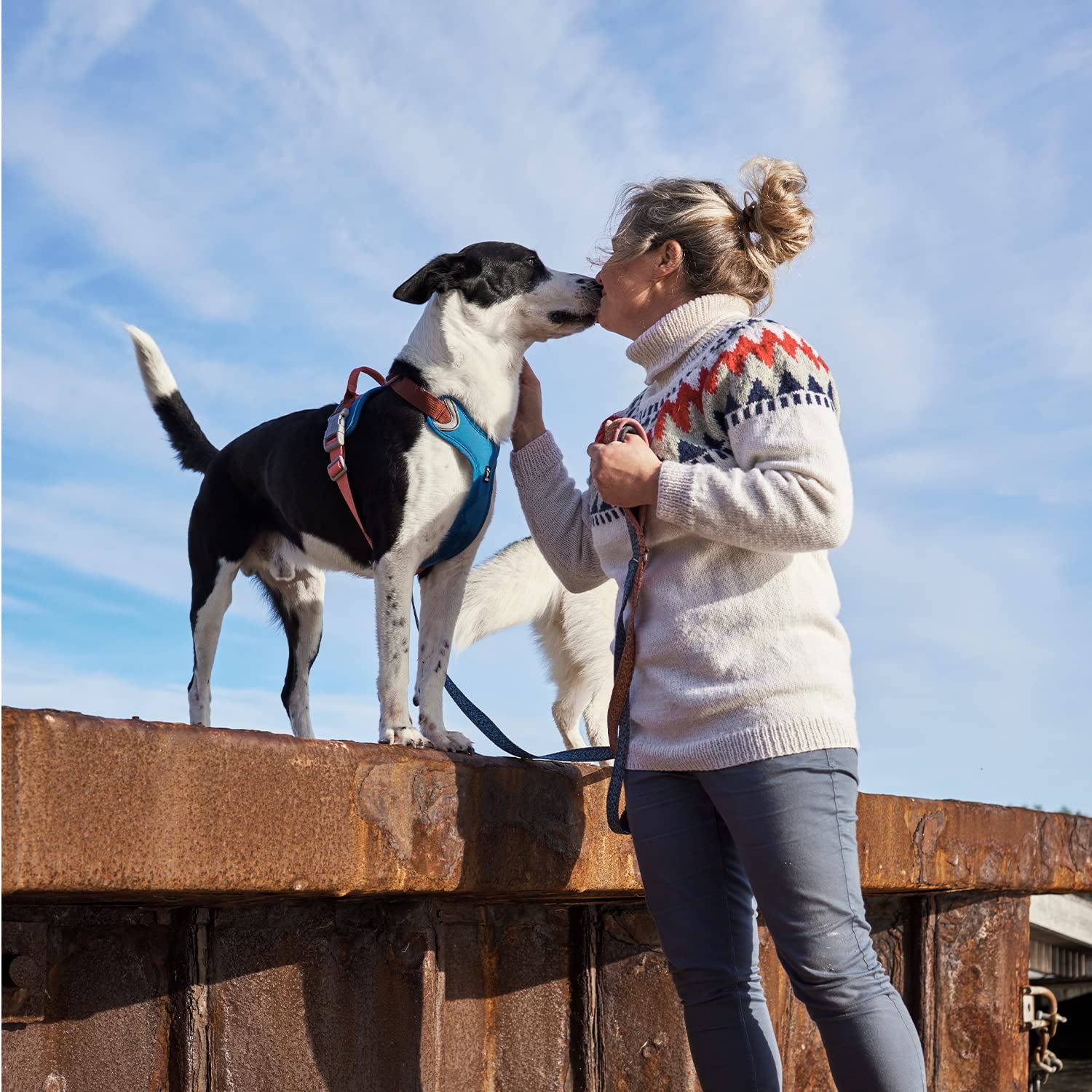 Hurtta Weekend Warrior ECO Warming - Arnés para perros medianos (45-60 cm)