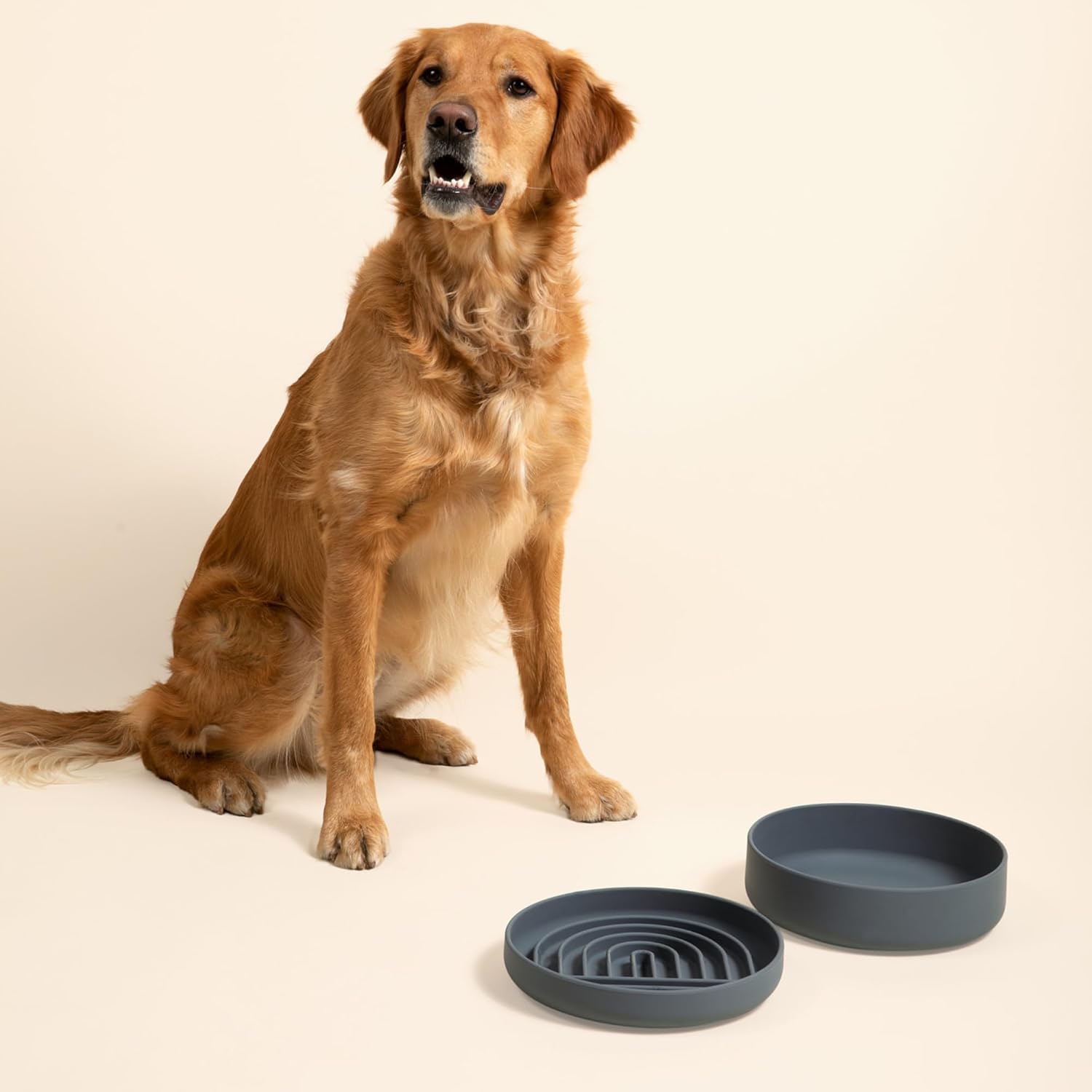 Should We Go? Slow Feeder for Dogs & Puppies, The Slowdown Bowl Silicone Slow Eating, Modern Lick Mat Design, Reduces Gulping, Fits 2.5 Cups 9.5” Across x 1.5” Tall, Mealtime Challenge, Large-Charcoal