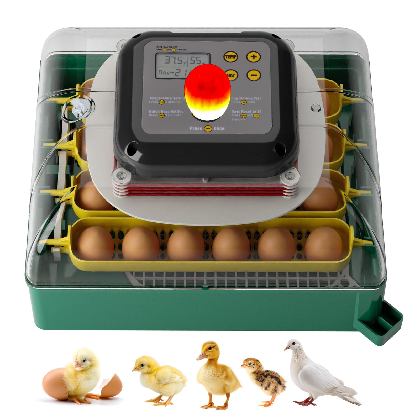 Incubatrice Automatica per 24 Uova con Controllo della Temperatura, Rotazione delle Uova, Sperauova, Incubatrice per Gallina Anatra Quaglie