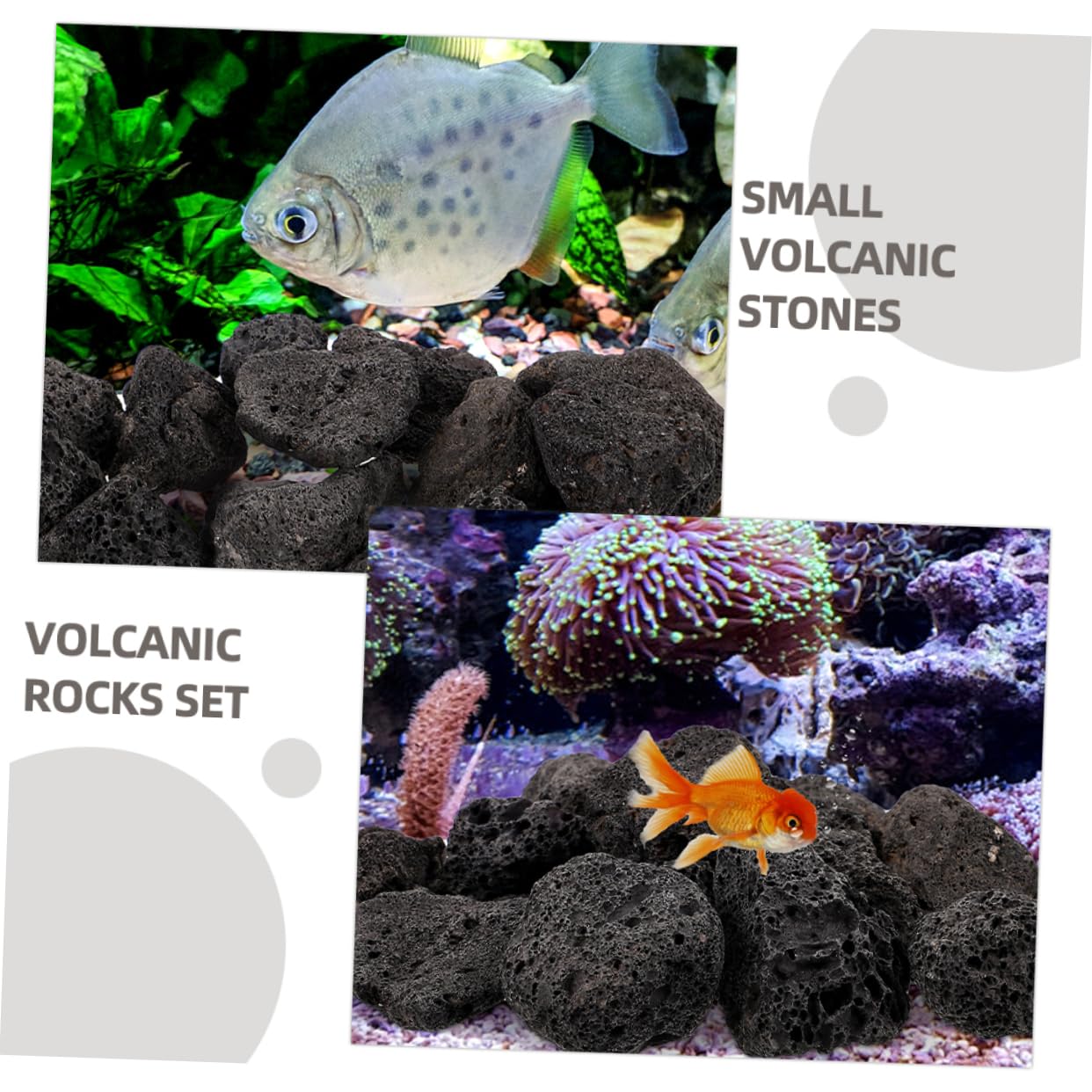 Parliky 1 Pack Rock Aquarium Volcanic Rock for Plants Aquarium Decoration Volcanic Stone Ornament Decorative Stone for Potted Plants Volcanic Rock - Image 3