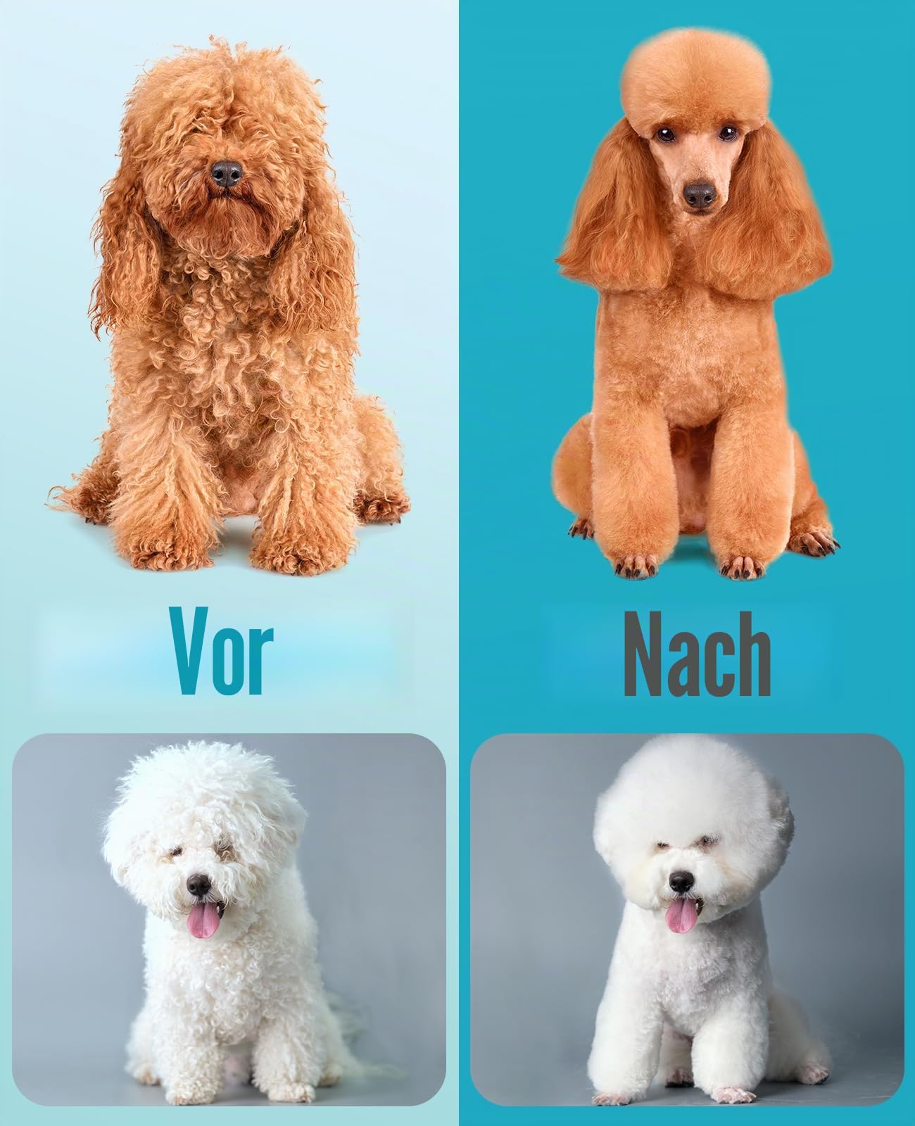 oneisall Professionelle Hundeschermaschine für dickes Haar, robuste Hundepflege-Schermaschine mit abnehmbarer Metallklinge, kabelloser Haustierrasierer für Cockapoo-Pudel