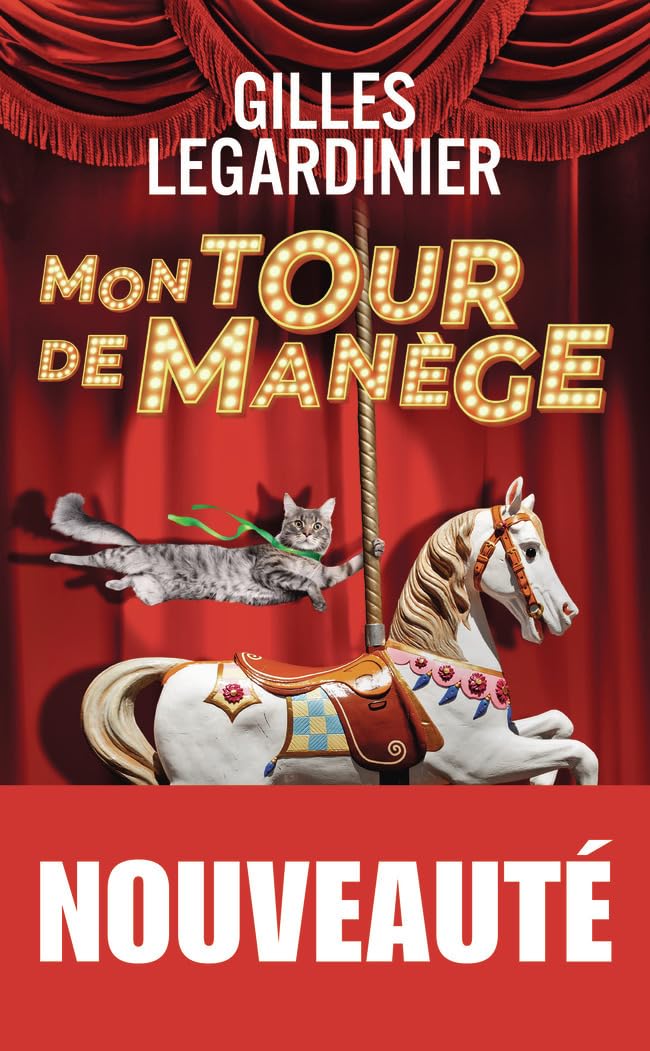Mon tour de manège: Roman