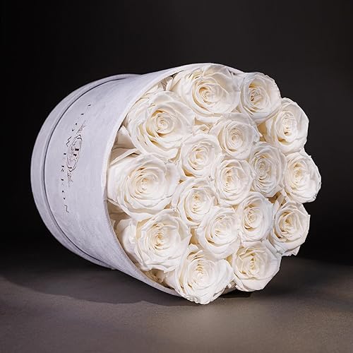 Miniatura 2 de Forever Real Roses en caja de gamuza, 17 piezas de rosas en una caja, rosas reales preservadas que duran más de un año, flores preservadas para