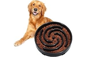 Slow Feeder Dog Bowls for Large Dogs