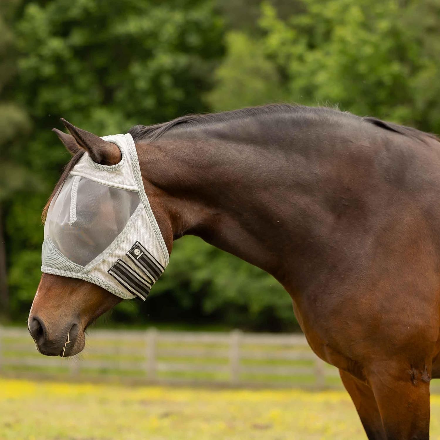 Equinavia Algard Soft Mesh Earless Fly Mask - Misty Jade - Horse