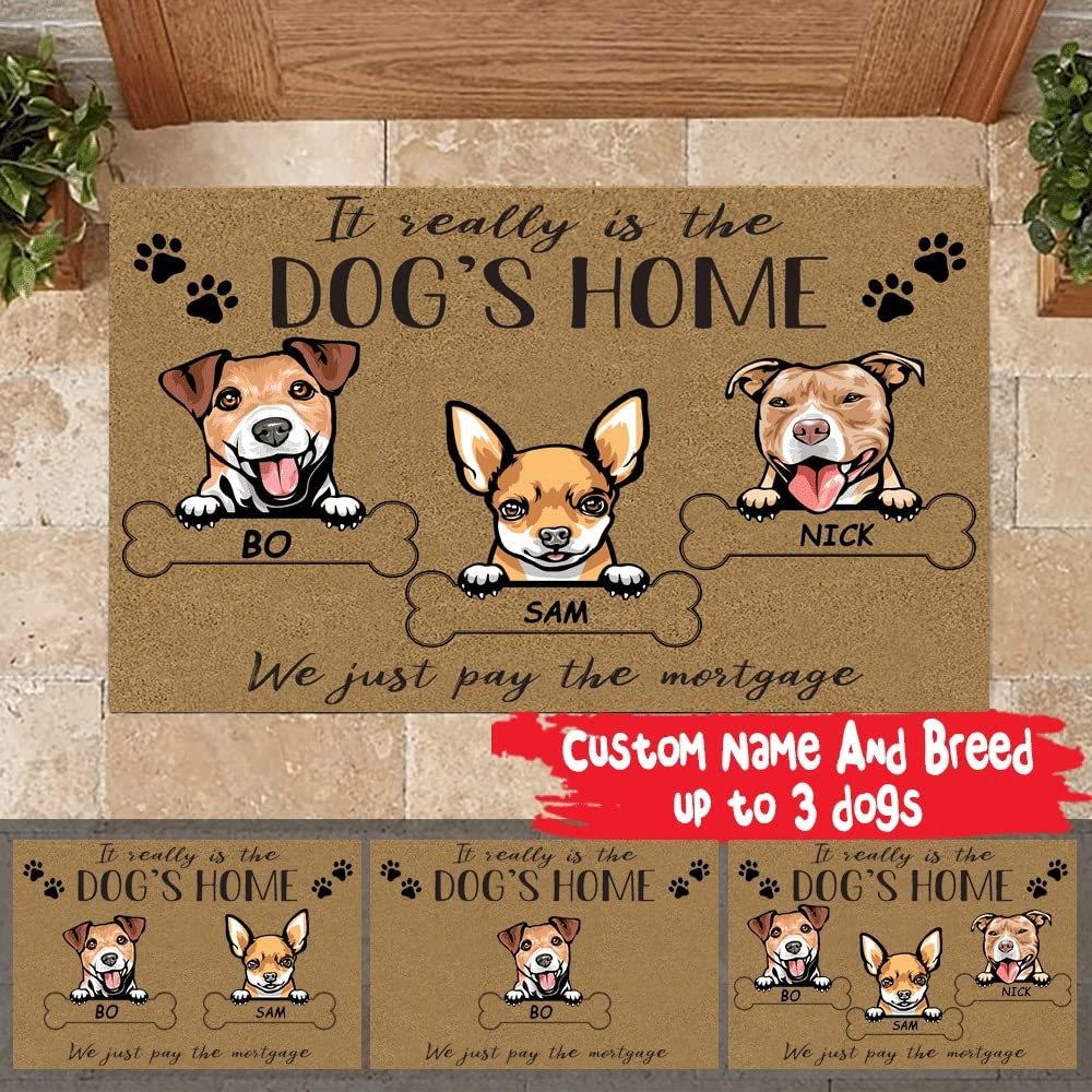 Felpudo Entrada casa Alfombra Exterior Felpudo con Nombre Personalizado Realmente es la casa del Perro Decoracion Hogar