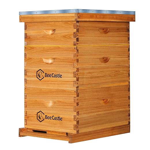 BeeCastle 10 Frame Langstroth Bee Hive Coated with Beeswax Includes Beehive Frames and Waxed Foundations (2 Deep Boxes & 1 Medium Box)
