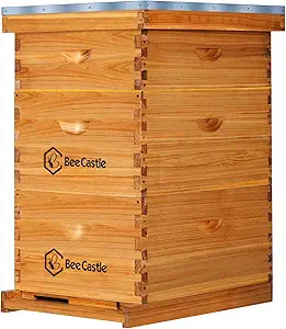 BeeCastle 10 Frame Langstroth Bee Hive Coated with Beeswax Includes Beehive Frames and Waxed Foundations (2 Deep Boxes & 1 Medium Box)