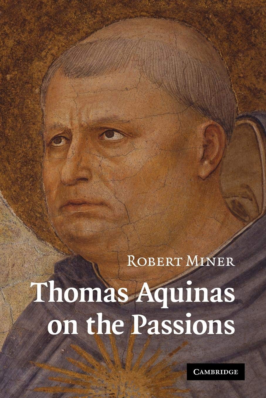 Thomas Aquinas on the Passions: A Study of Summa Theologiae, Ia2ae 22-48