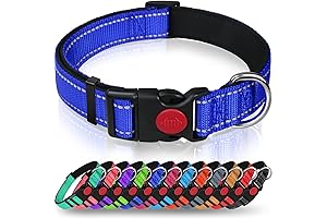 Taglory Reflective Dog Collar for Labrador: Safety and Comfort for Your Furry Friend