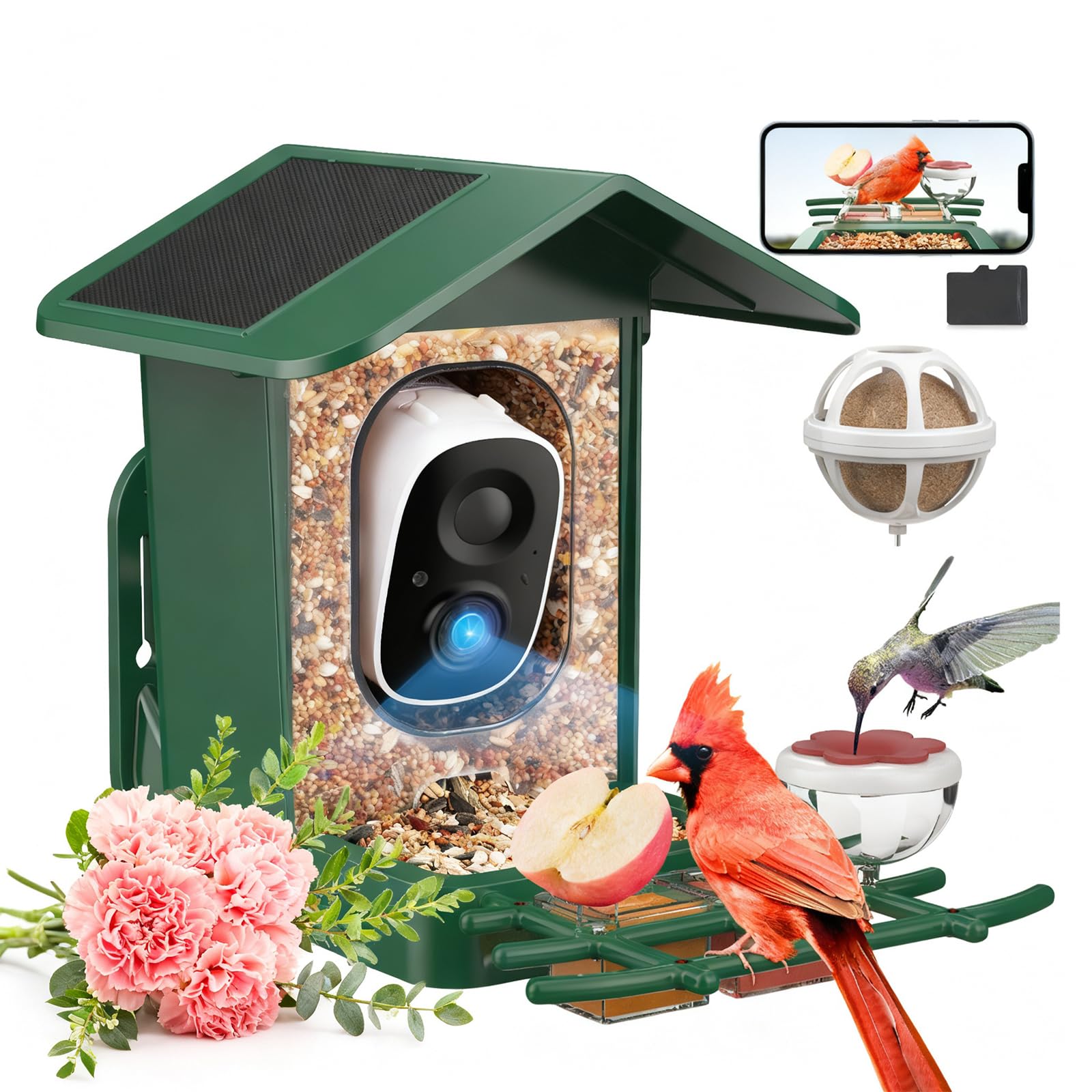 PeckCam Bird Feeder