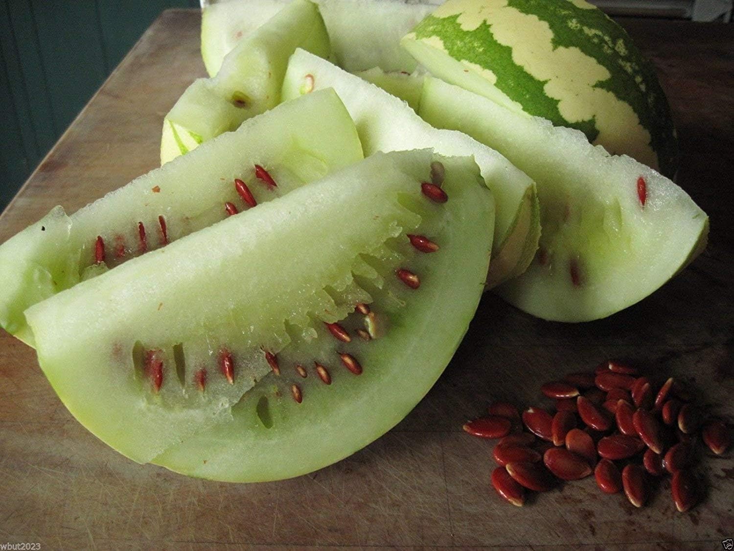 30 Watermelon Seeds Red Seeded Citron A.K.A. Colorado Preserving