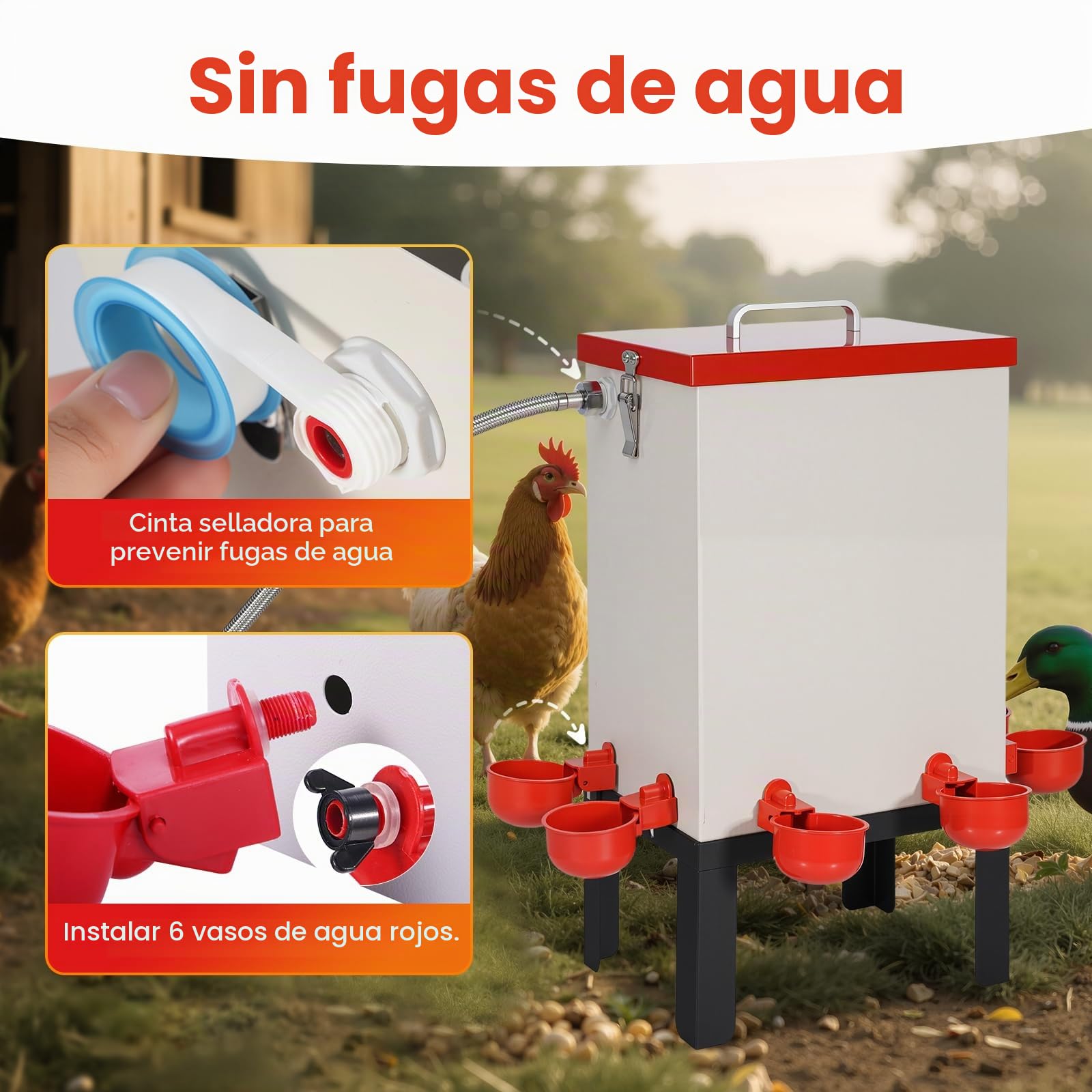 Bebedero Automático de Pollo de 12L Dispensador de Agua para Aves de Corral de Acero Inoxidable con Válvula de Flotador Manguera Tazas de Agua y Soporte Comedero de Agua para Patos Gansos