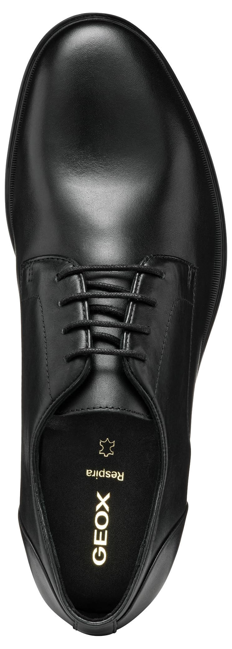 Geox U Rezzonico C DerbysHomme