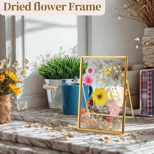 Miniatura 3 de TLBTEK 2 marcos de fotos de escritorio de 4 x 6 pulgadas, marco de fotos de cristal transparente para flores prensadas, marco de exhibición de arte