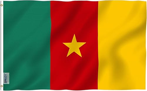 ANLEY Fly Breeze - Bandera de Camerún de 3 x 5 pies, color vivo y a prueba de decoloración, cabecera de lona y doble costura, banderas camerunesas