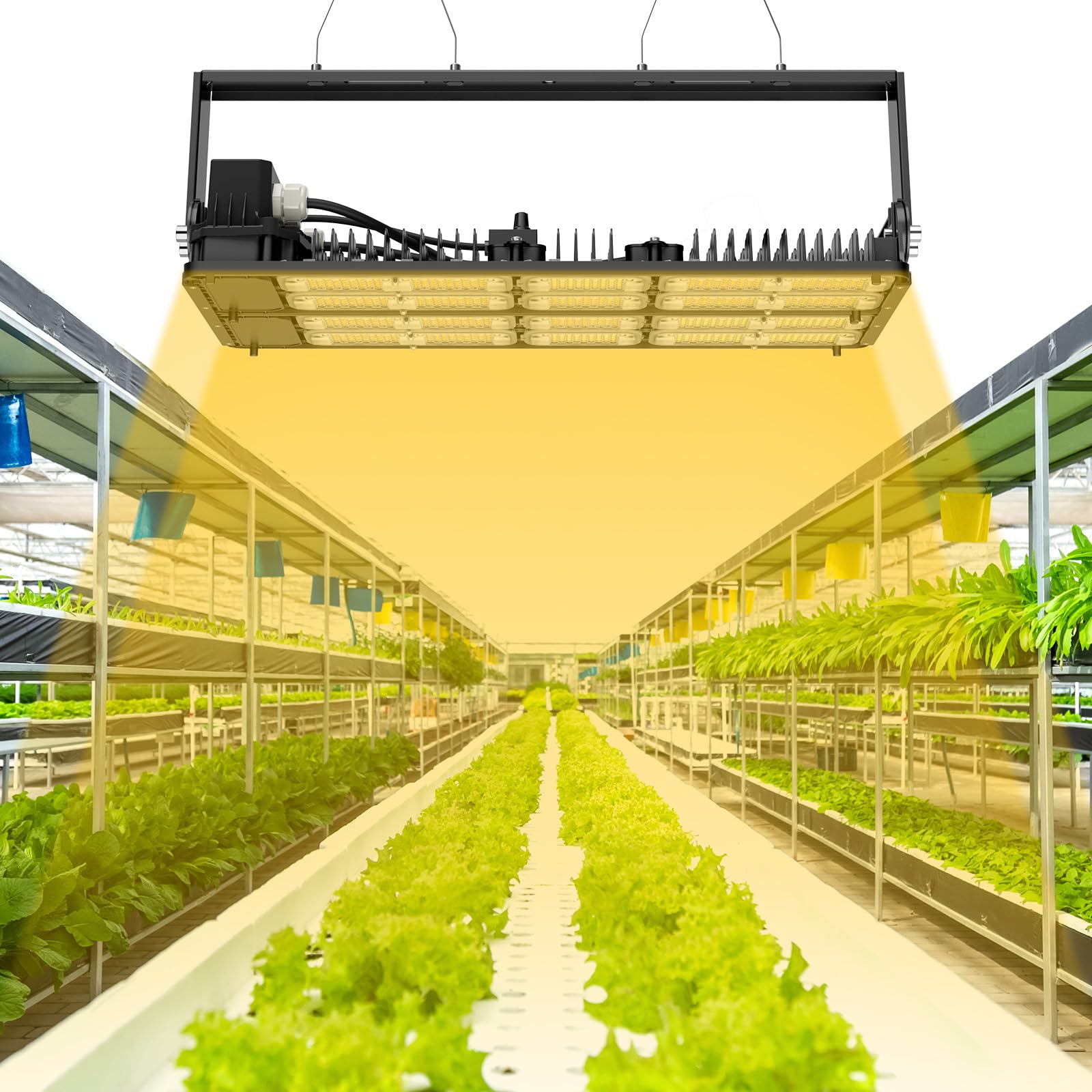 snuppy　ライトグリーン　sサイズ Amazon.com : SANSI Dimmable LED Grow Light, 3000K 5000K 660nm