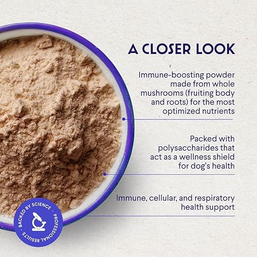 Miniatura 3 de Wonder Paws Hongo orgánico de cola de pavo para perros, potente cola de pavo para perros, polvo de hongos para inmunidad, respiratorio, digestión y