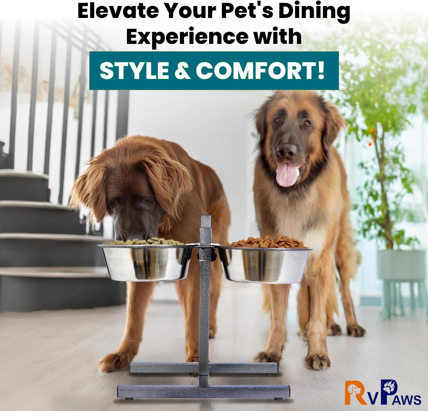 RvPaws Stainless Steel Double Diner Food Adjustable Bowl Stand for Dog H Type (Large) 2800 ML Each Bowl 3